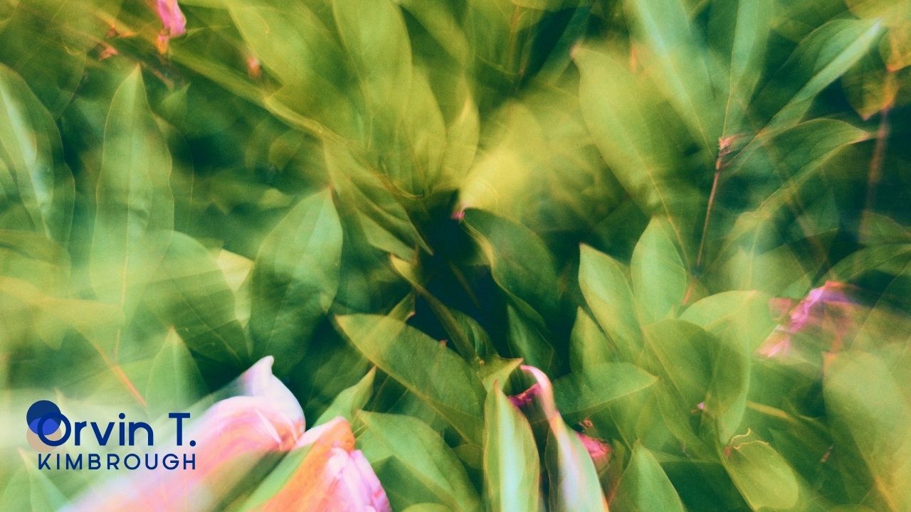 Gratitude Focus: The Power Of The Zoom Out