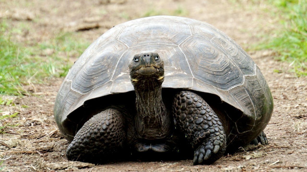 Sunday Reflection: Slow and Steady, The Real Path to Wealth