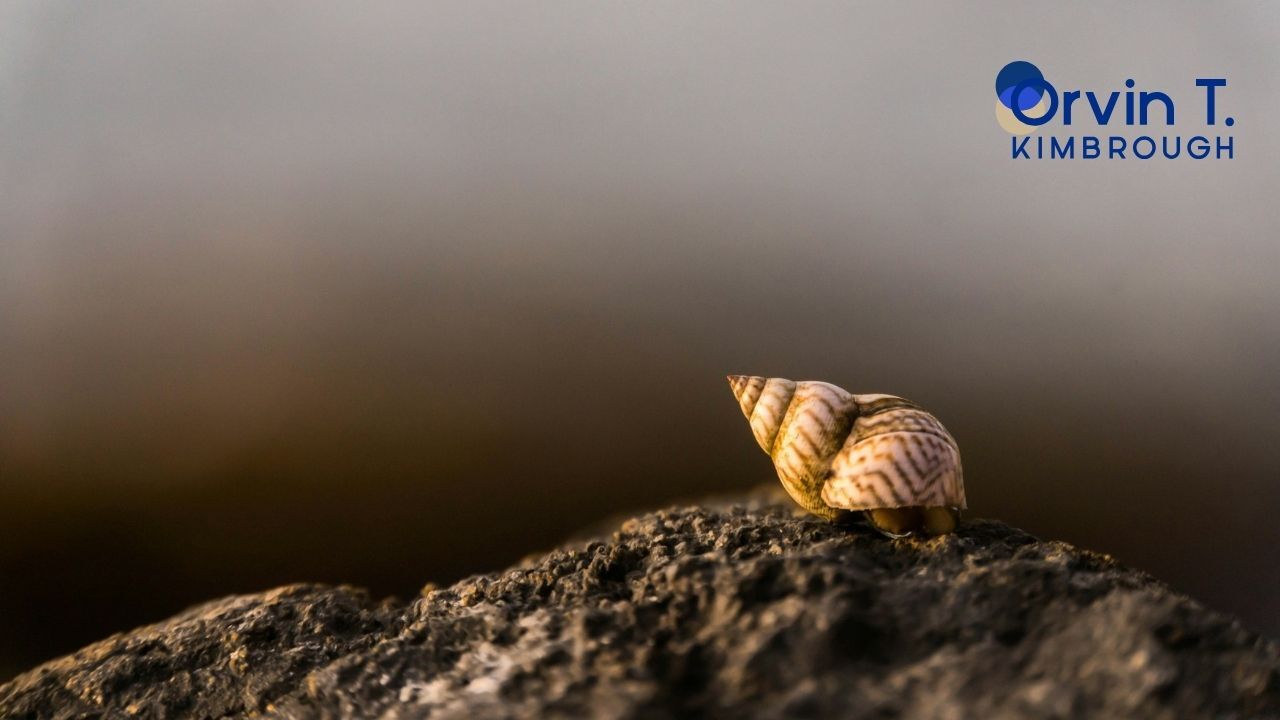 Gratitude Focus: I’m grateful for the confidence to skip the small talk.