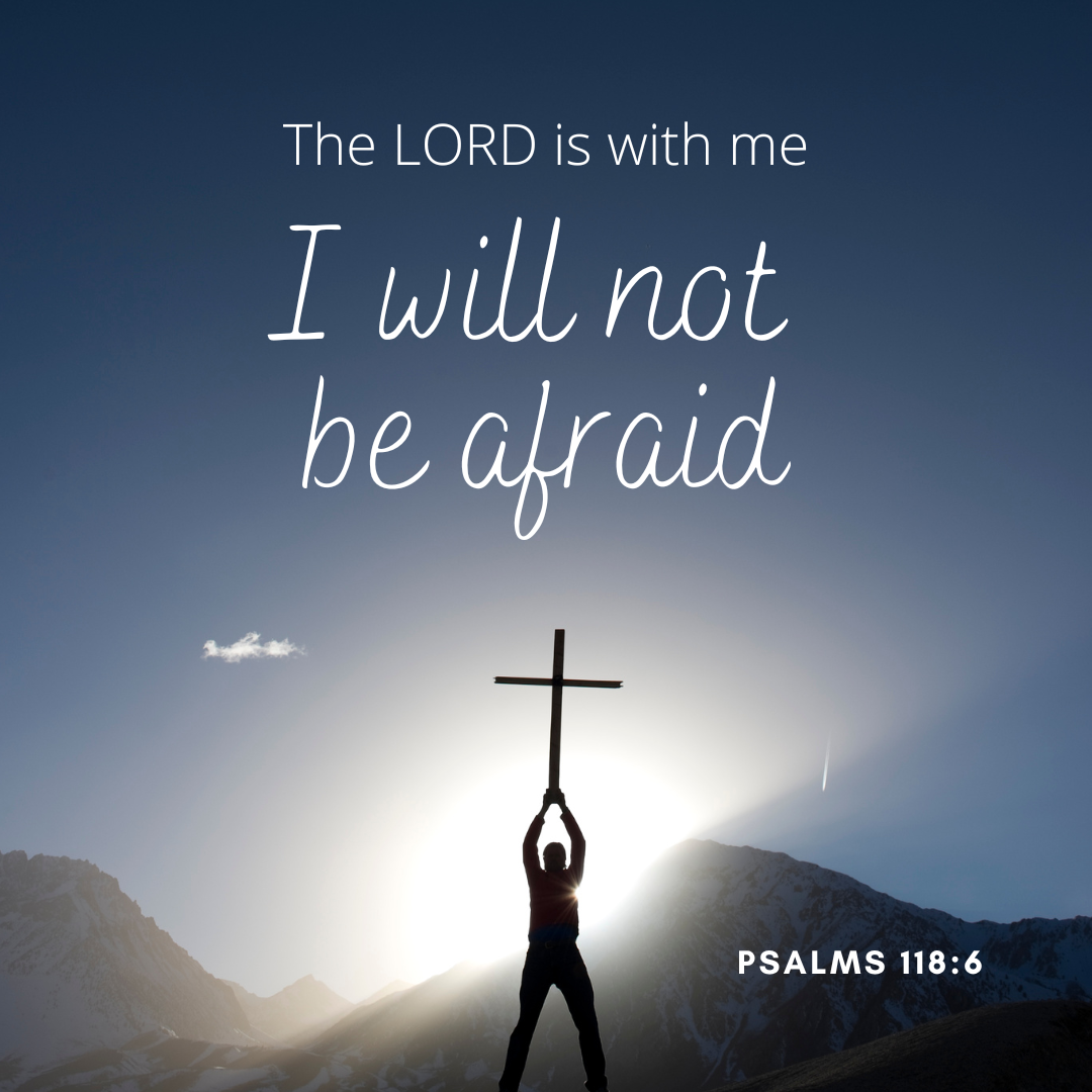 Sunday Reflection: Embracing Fear to Grow in Wisdom