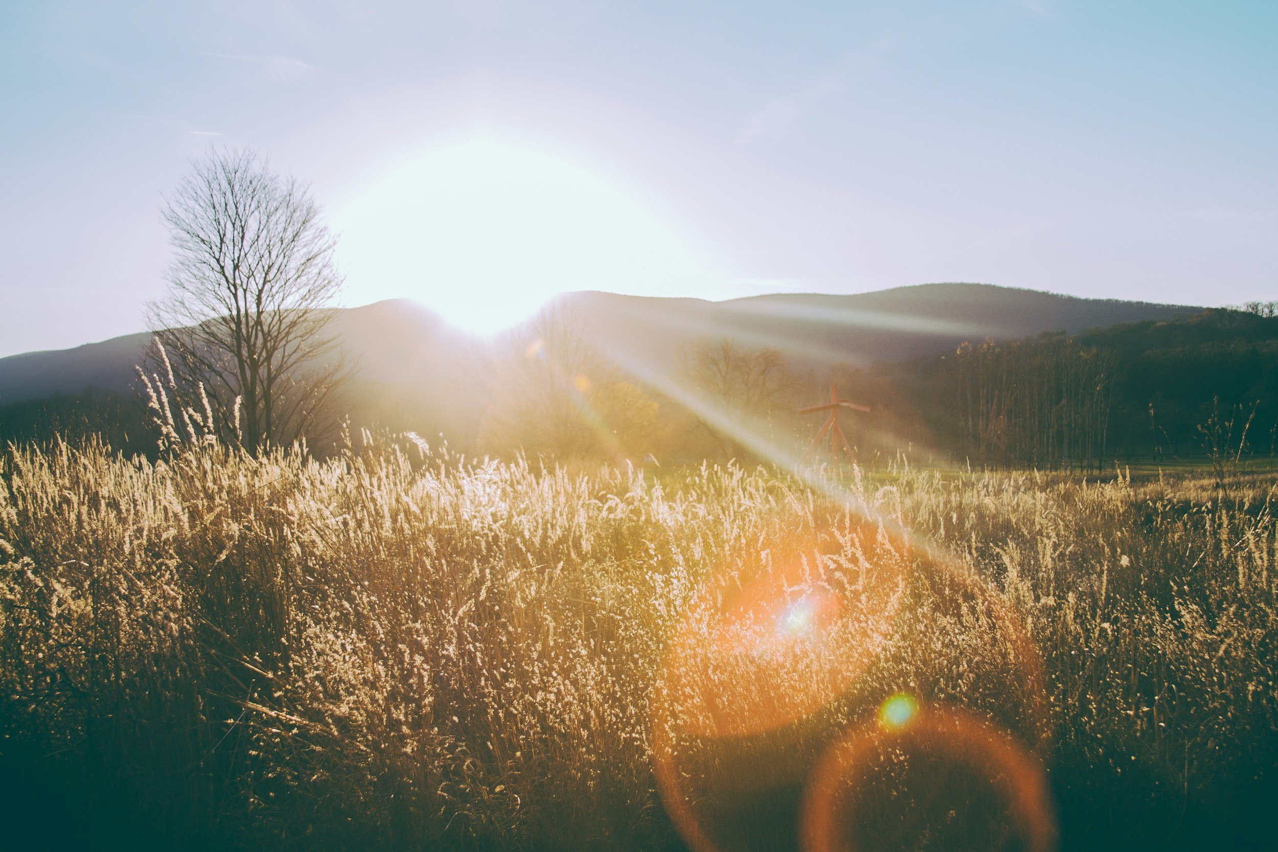 Gratitude Focus: Early mornings.