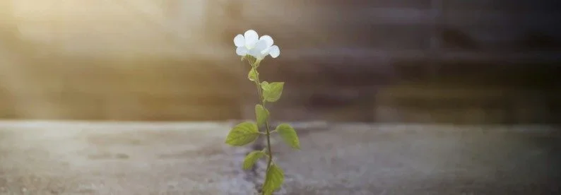 Even in Struggle, There is Purpose