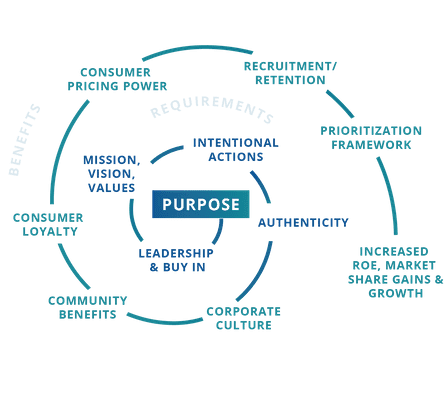 Purpose: The Soul Power of an Organization