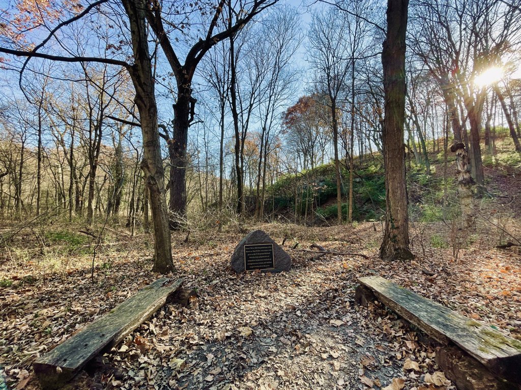 The New Underground Railroad: Building Freedom, Together