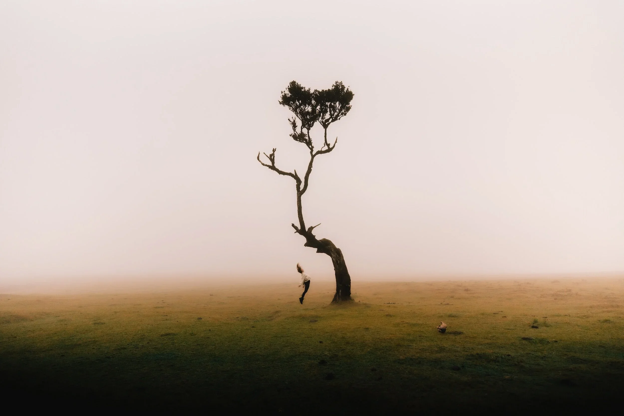 10 Bible Verses That Feed My Soul