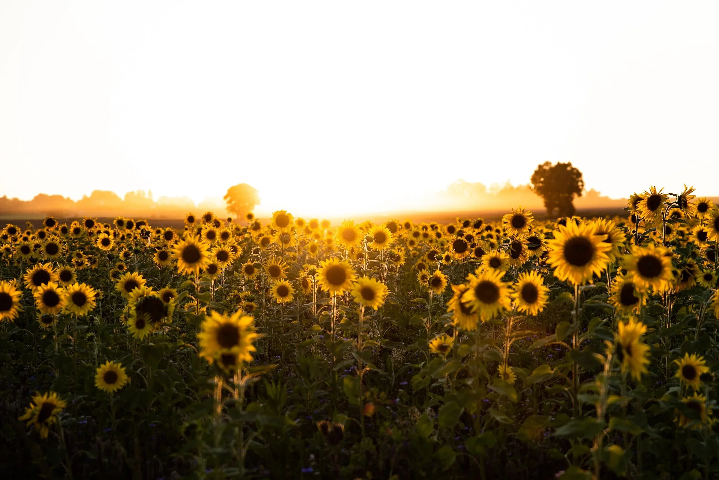 How You Finish Matters More: A Sunday reflection