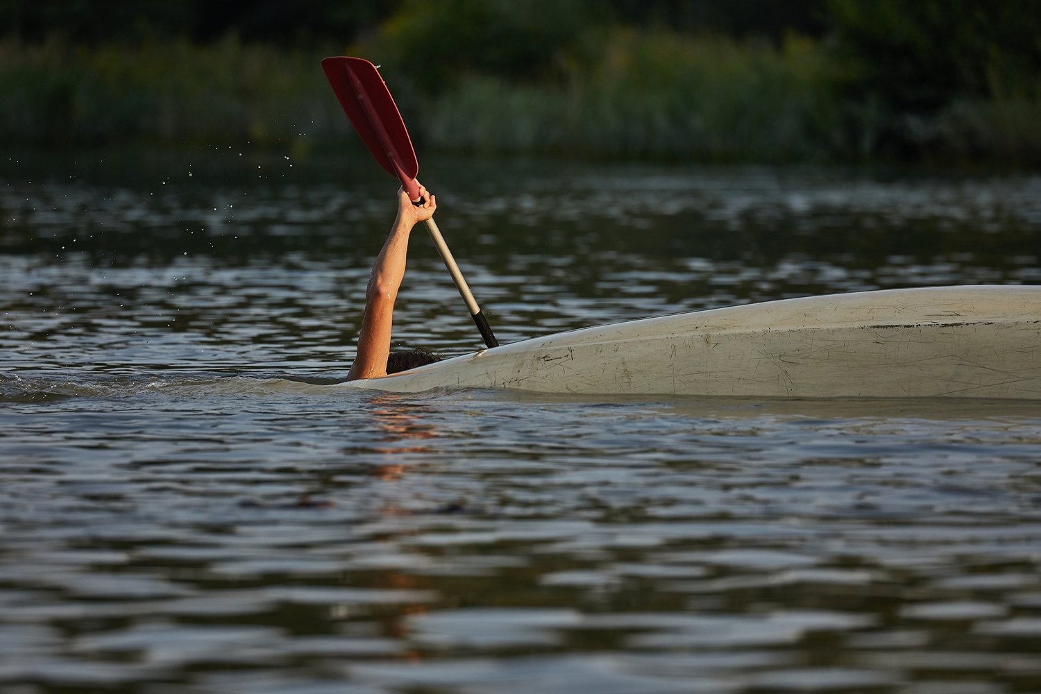 Leading Through Adversity: How I Found Focus in Uncharted Waters