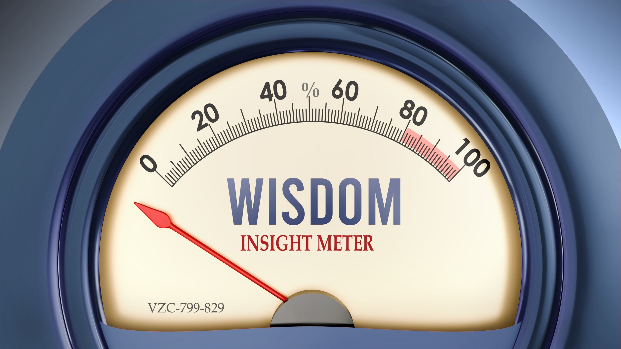 Sunday Reflection: What Sets Leaders Apart Wisdom