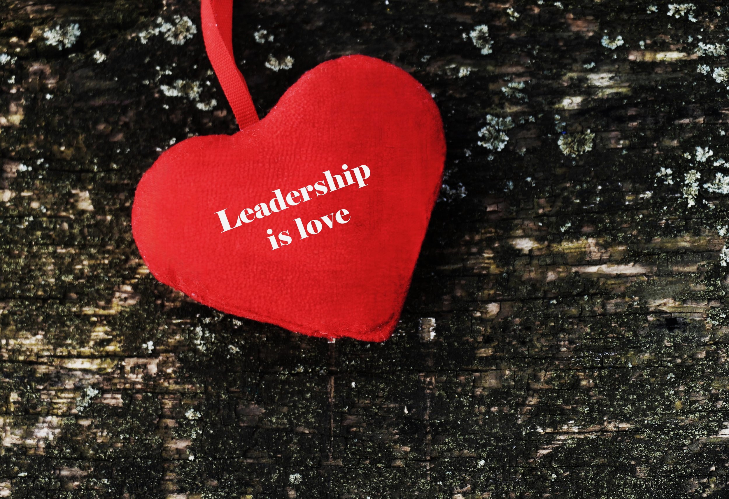 Sunday Reflection: Love is Leadership’s Greatest Strength