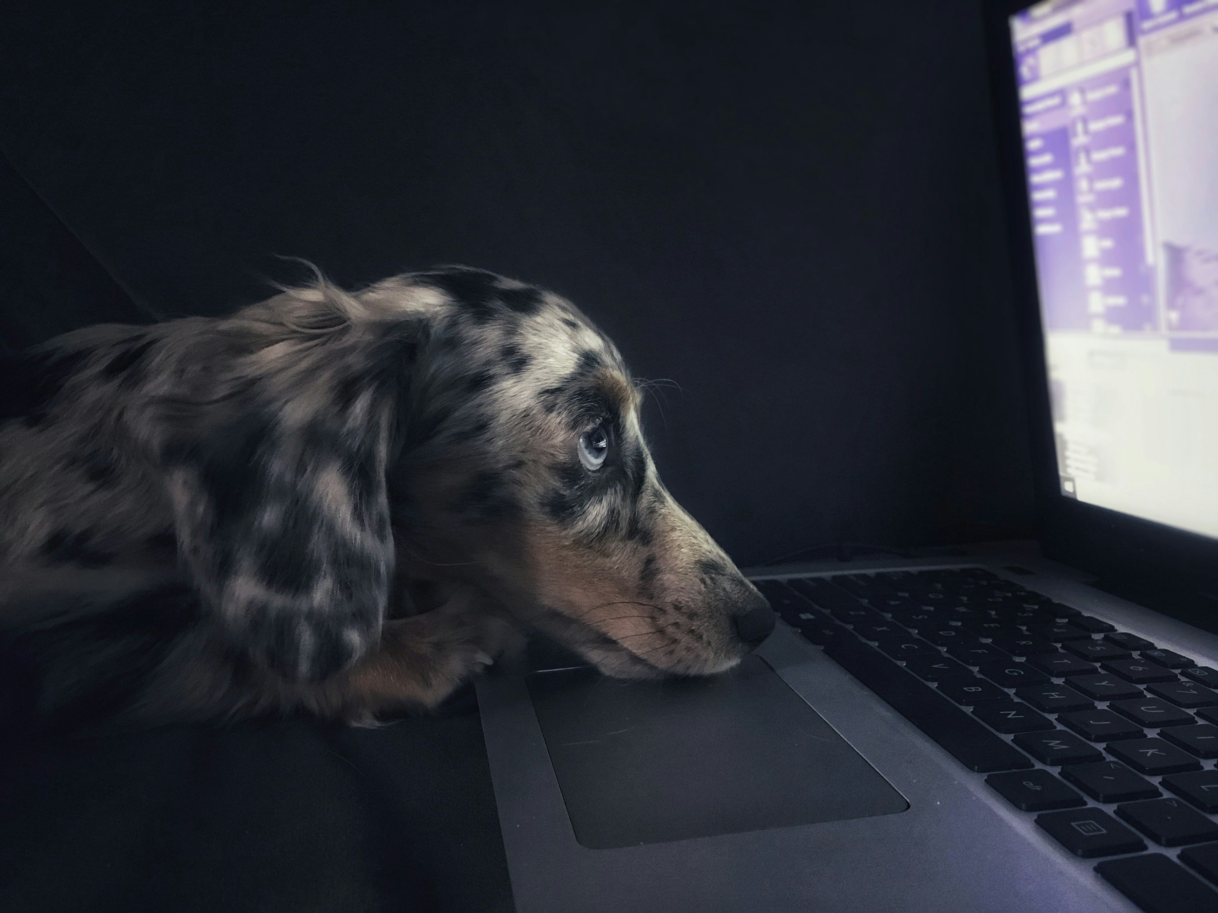 Why You Feel Stuck at Work (and How to Break Free)