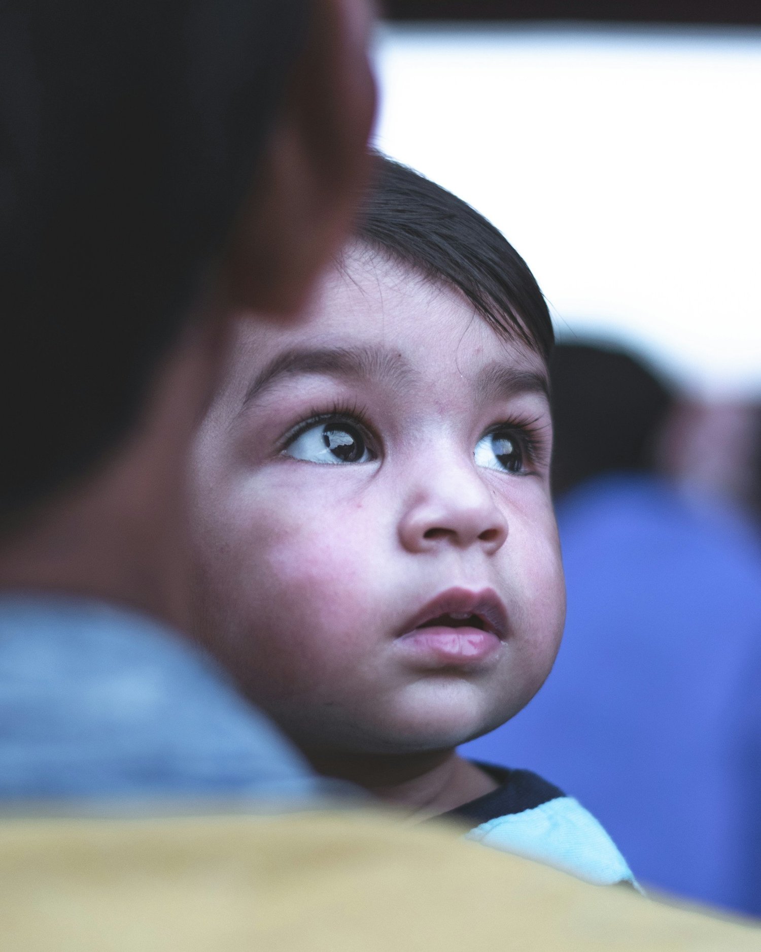 Sunday Reflection: Owning Hope