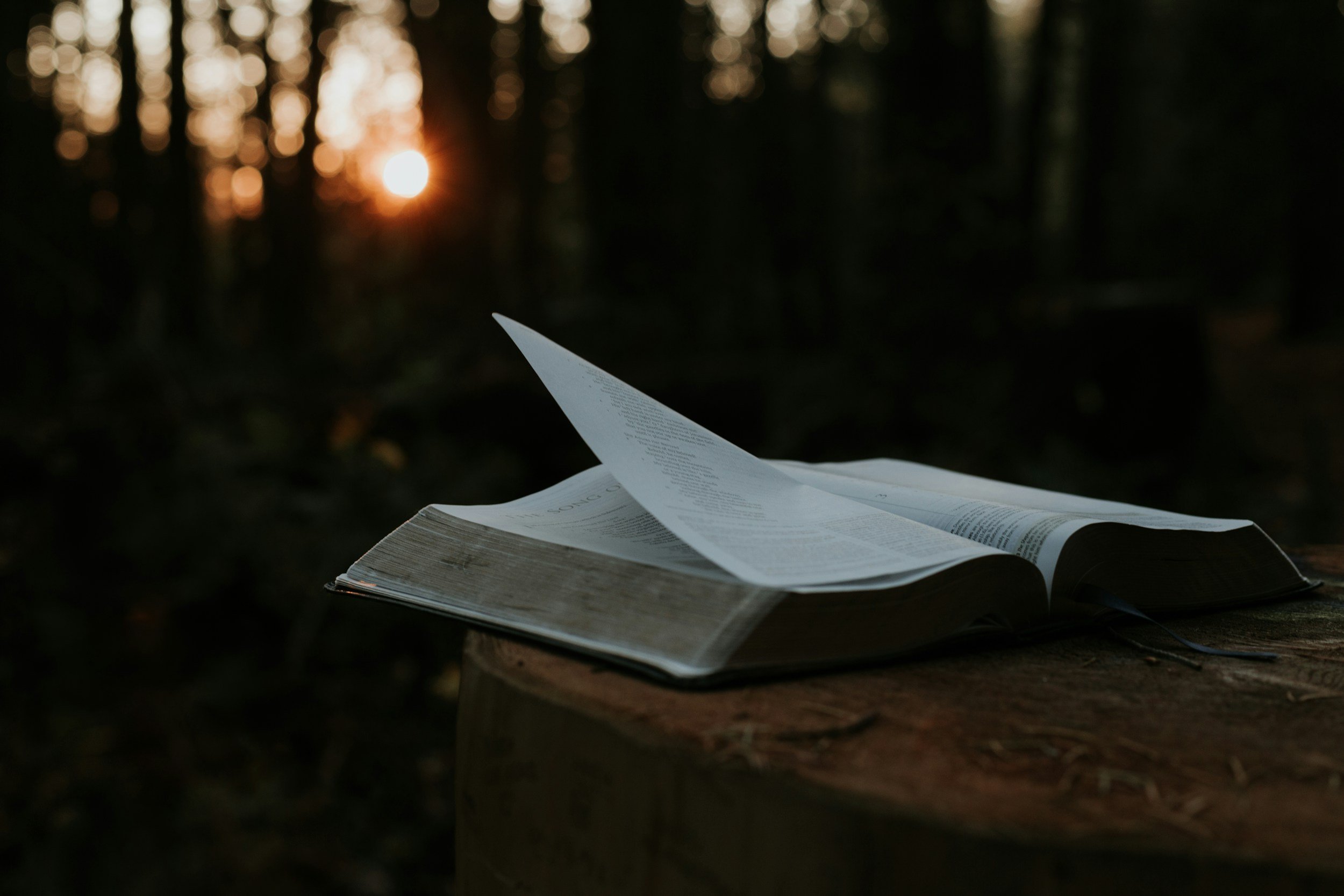 When the Rules Betray the Truth: The Cost of Leading with a Conscience