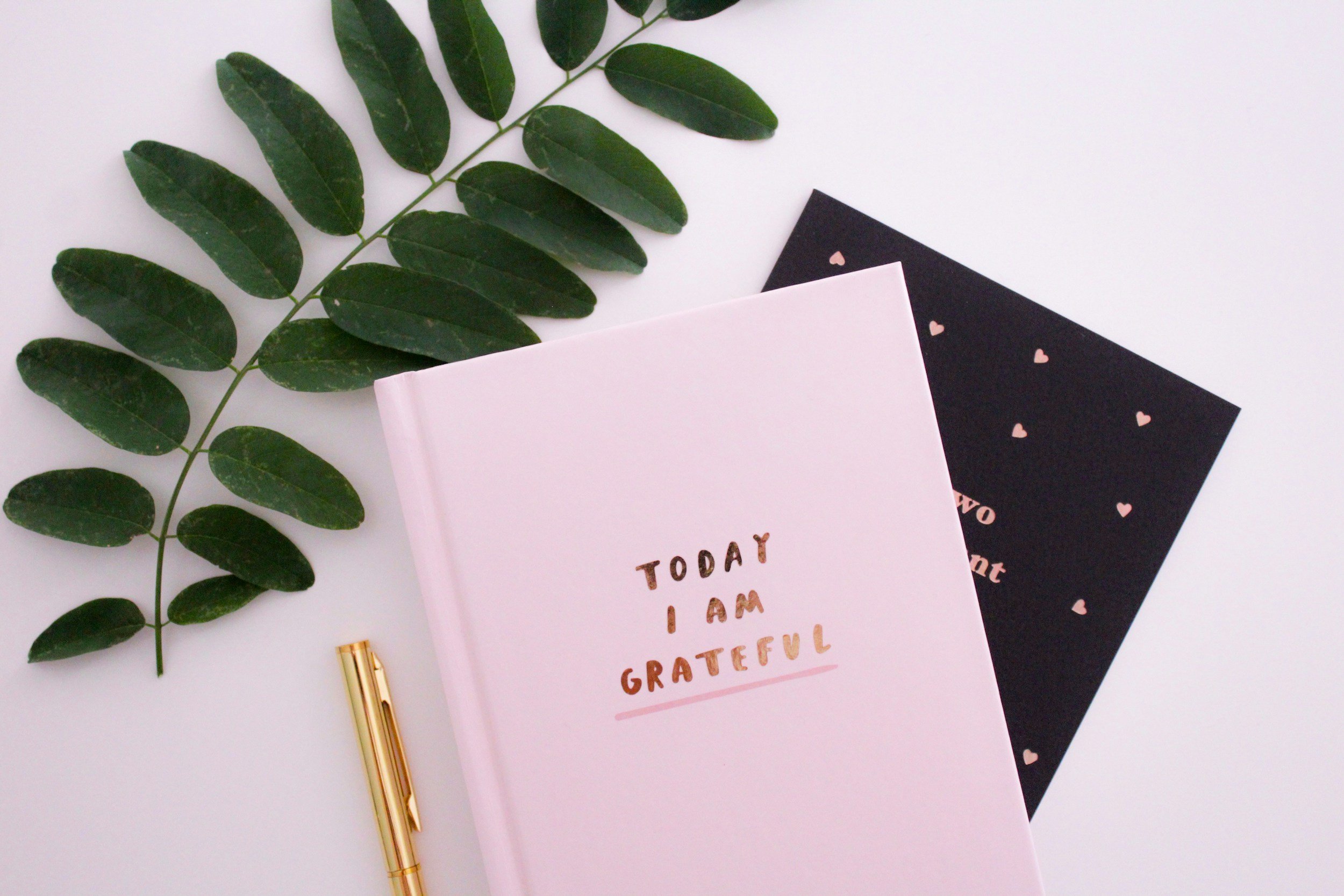 A 365-Day Gratitude Challenge