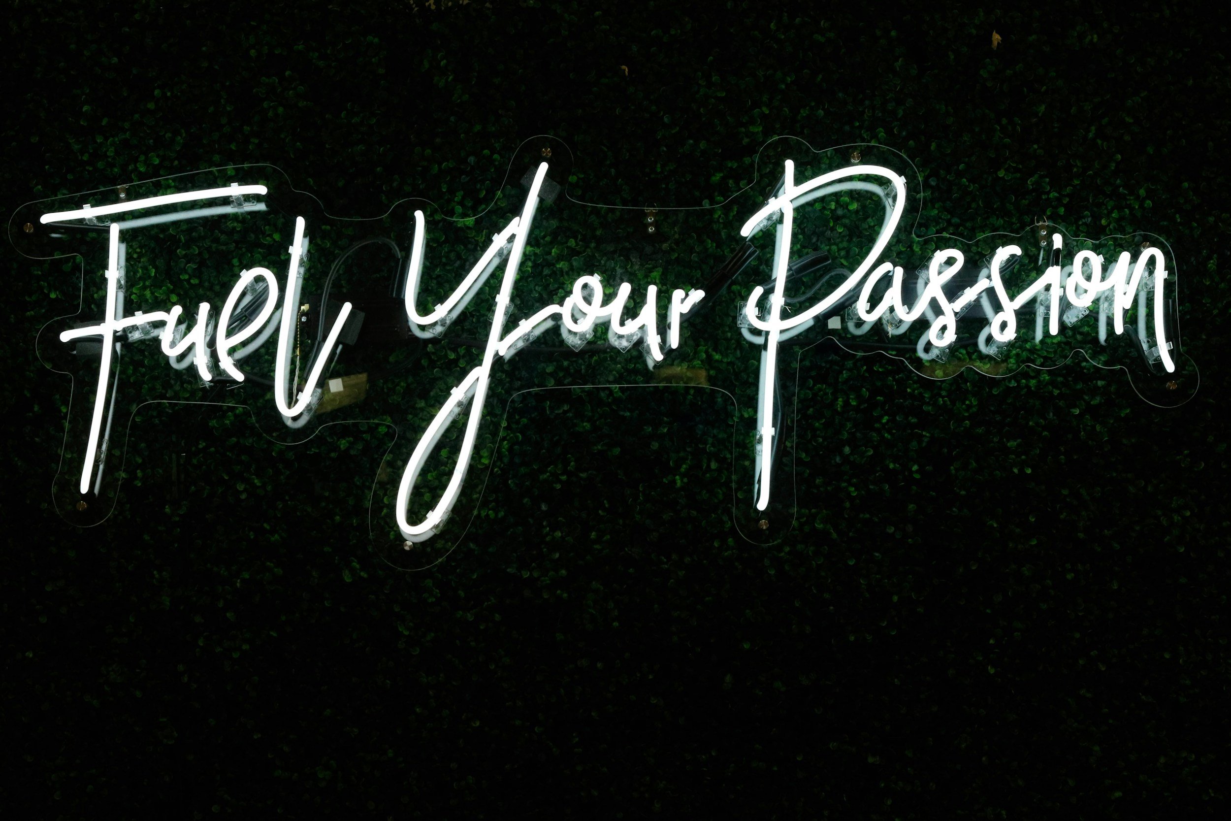 From Loss to Purpose: What August Taught Me About Craft, Career, and Calling