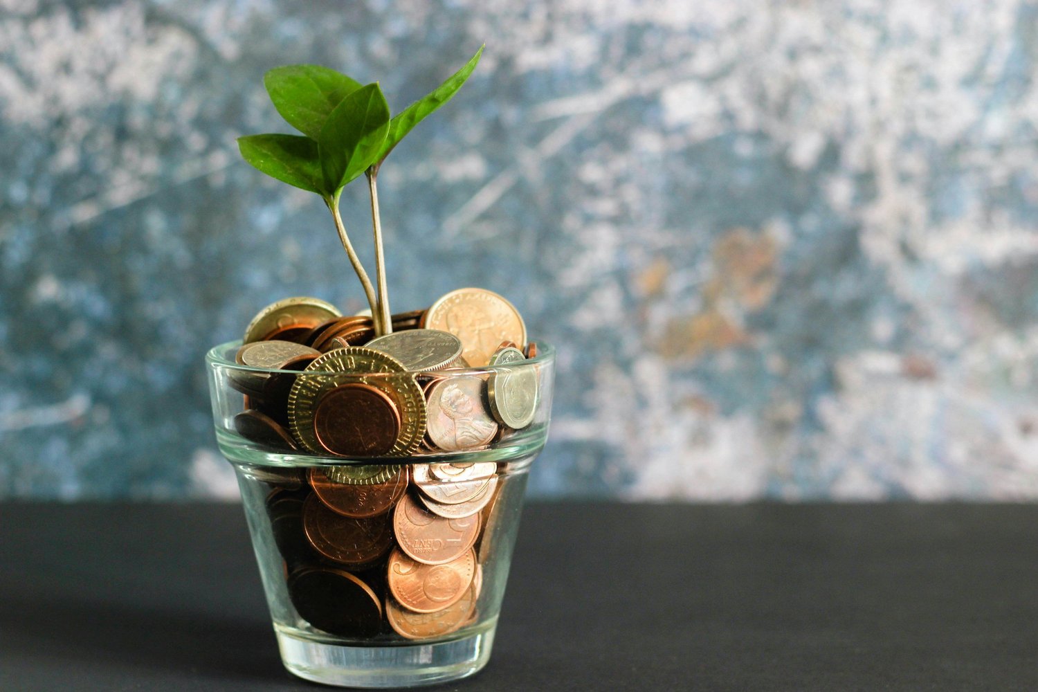 Moving Beyond Survival: A Mindset Shift for Wealth and Purpose