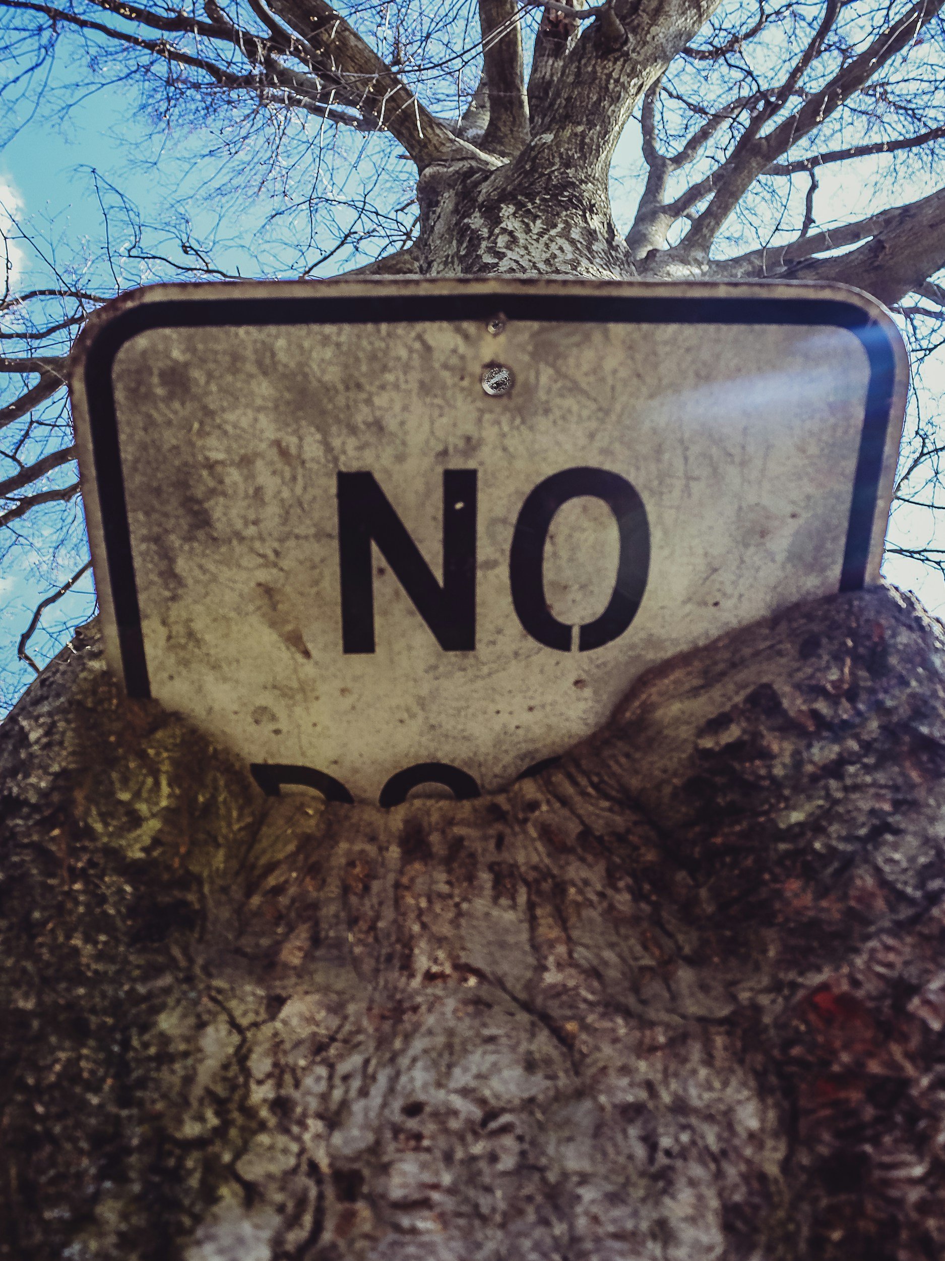 Sunday Reflection: Rejected or Redirected